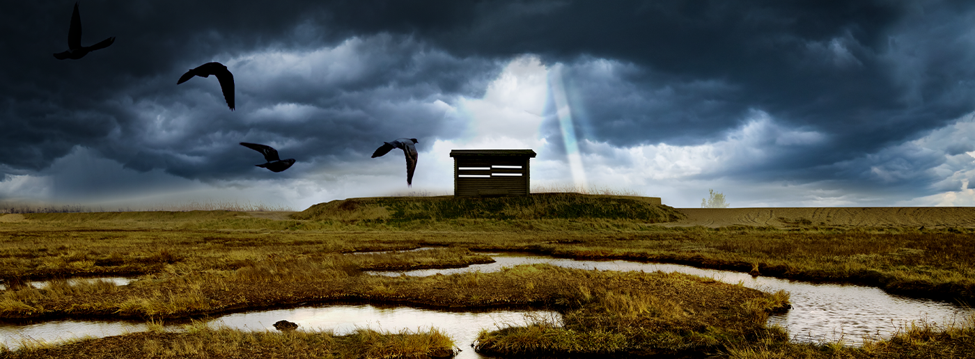 New SP Header